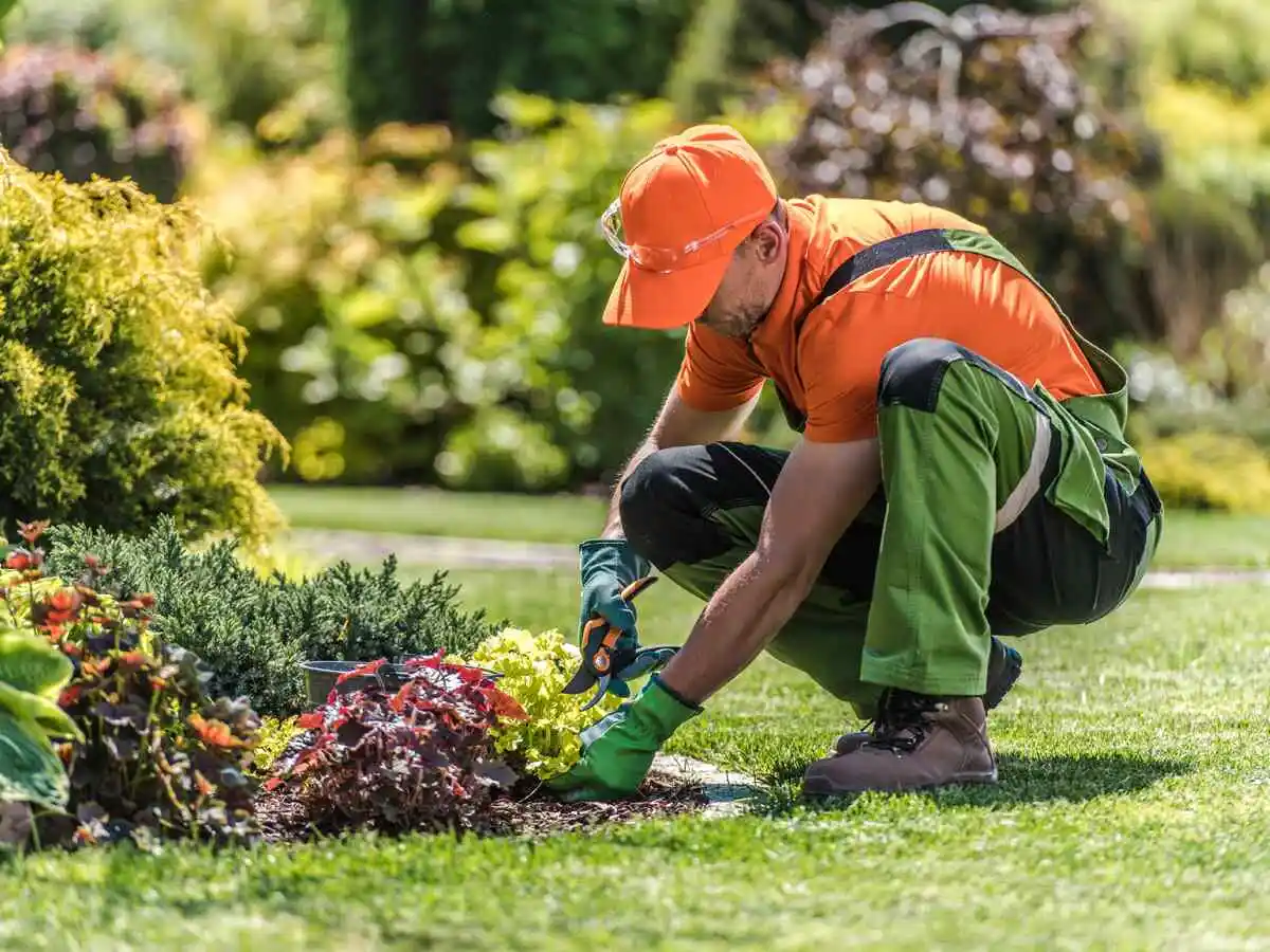 LANDSCAPE WORKS