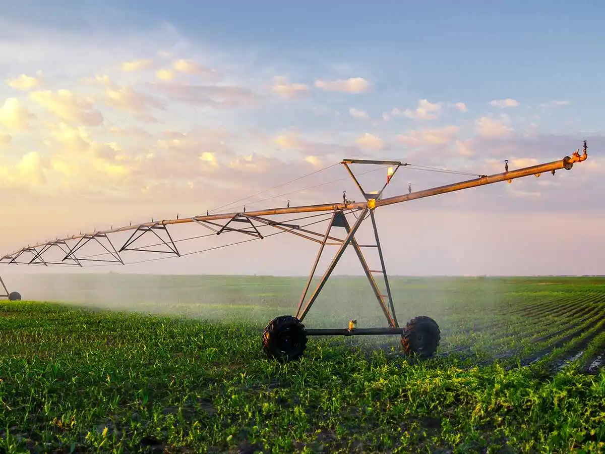 IRRIGATION